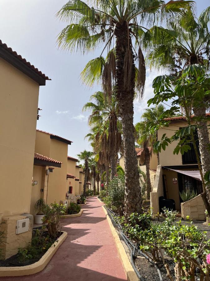 Surf & Chill 69, Quiet Oasis With Community Swimmingpool Parque Holandes
