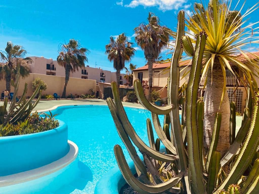 Surf & Chill 69, Quiet Oasis With Community Swimmingpool *